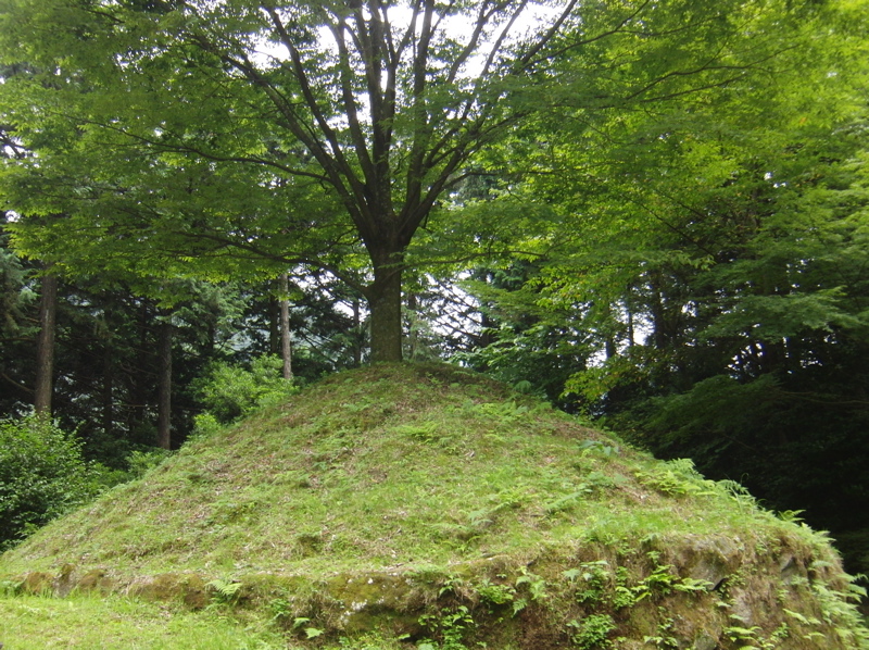 新編相模国風土記槁・畑宿村_e0019686_19304818.jpg