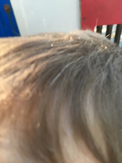 f0129786_03050474.jpeg