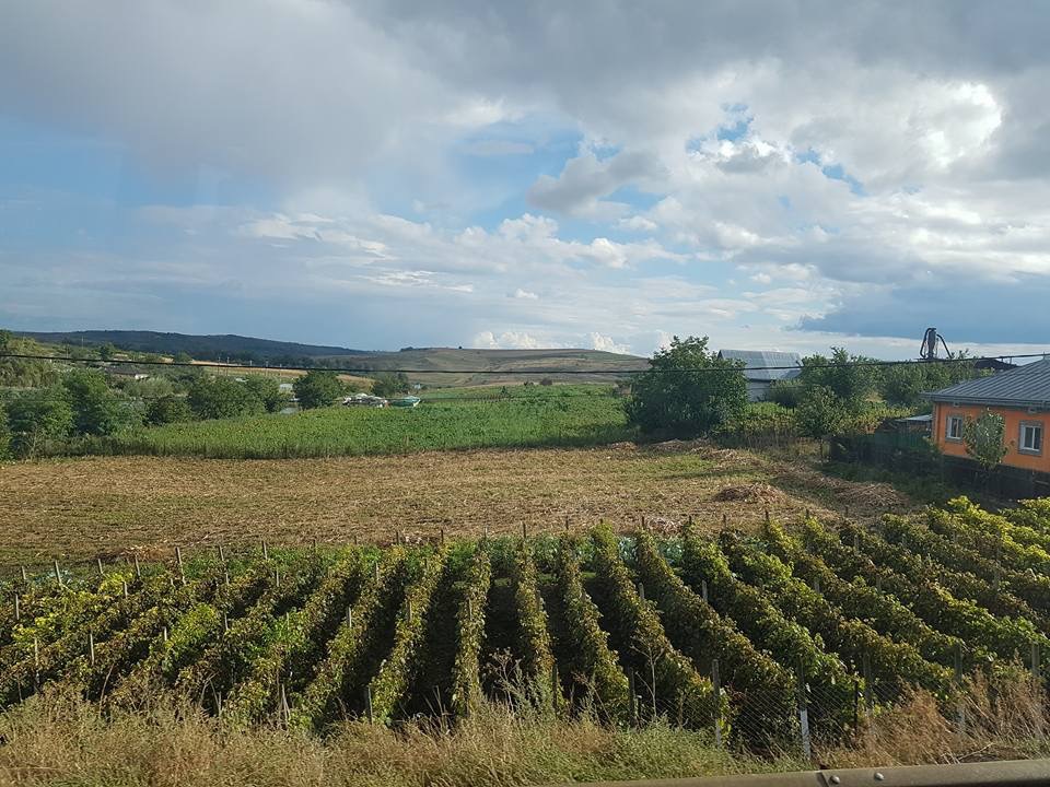 c0042797_0503013.jpg