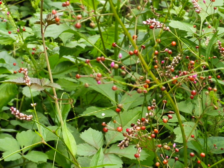 f0239100_22112044.jpg