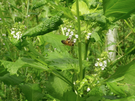 f0239100_2225611.jpg