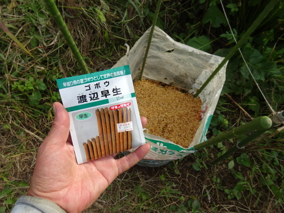 秋植え野菜の準備、ほぼ完了しました！_c0369304_21541605.jpg