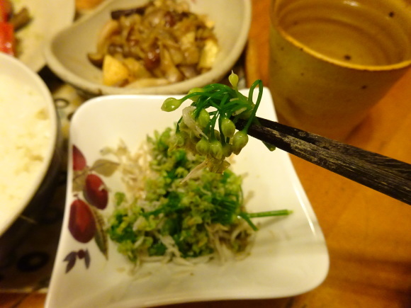 秋植え野菜の準備、ほぼ完了しました！_c0369304_21552292.jpg