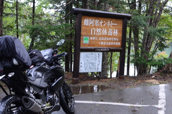 c0336907_21022418.jpg