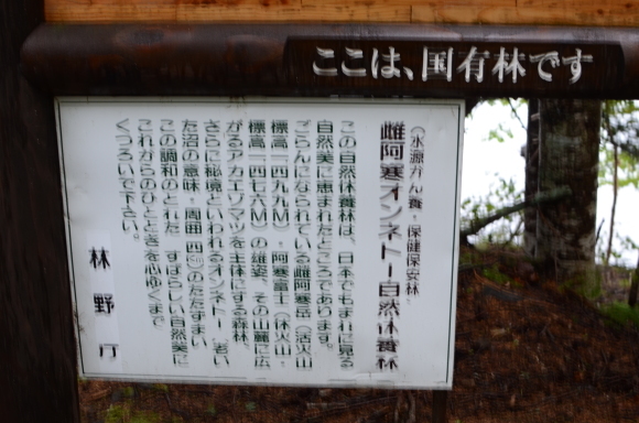 c0336907_21025912.jpg
