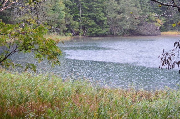 c0336907_21035851.jpg