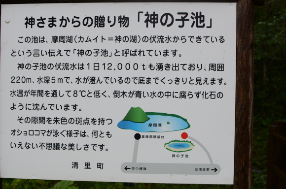 c0336907_21470571.jpg