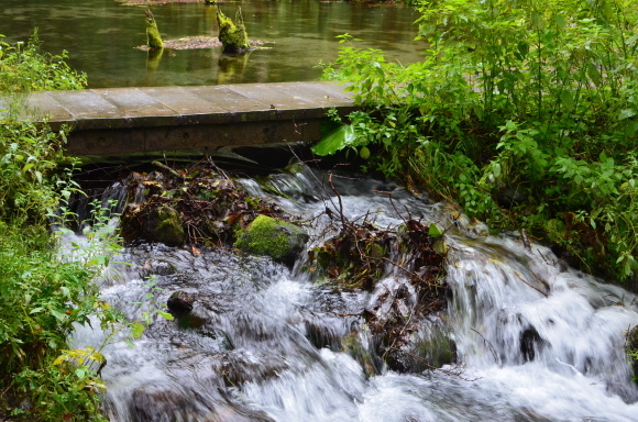 c0336907_21492005.jpg