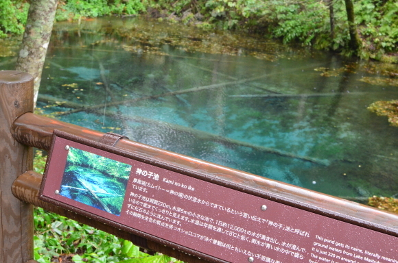 c0336907_21503832.jpg