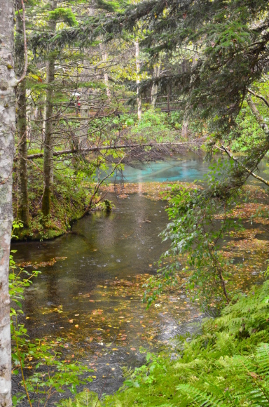 c0336907_22021311.jpg
