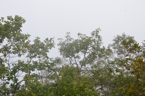 c0336907_22041329.jpg