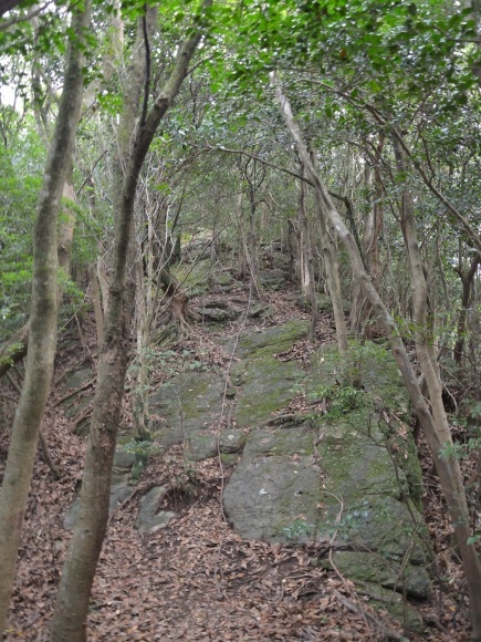 b0277008_21394577.jpg