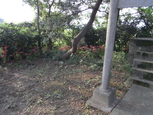 c0022113_1852315.jpg