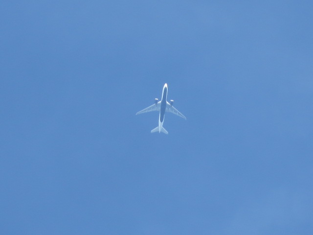d0351213_19233798.jpg