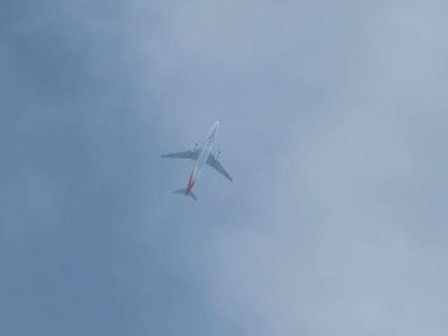 d0351213_19234989.jpg