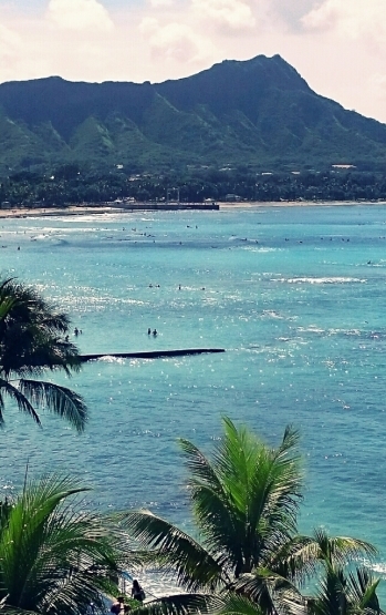 c0250116_20223876.jpg