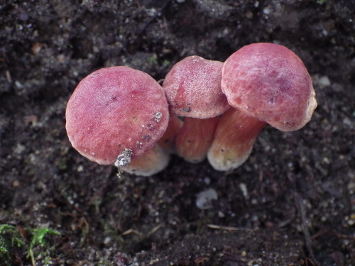 e0352220_09204817.jpg