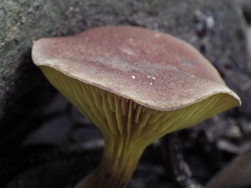 e0352220_09445507.jpg