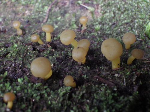 e0352220_10000604.jpg