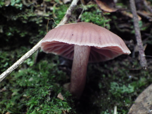 e0352220_10003936.jpg