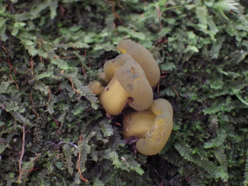 e0352220_10020725.jpg