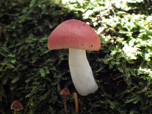 e0352220_10022776.jpg
