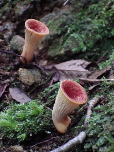 e0352220_10173704.jpg