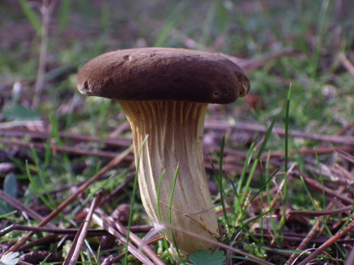 e0352220_10260499.jpg