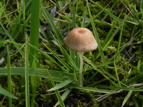 e0352220_10572682.jpg