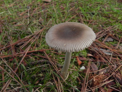 e0352220_10575833.jpg