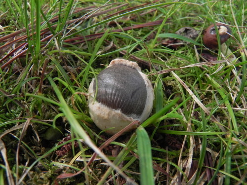 e0352220_10582769.jpg