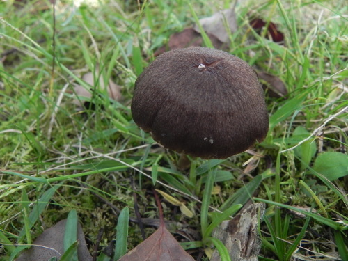 e0352220_11062473.jpg