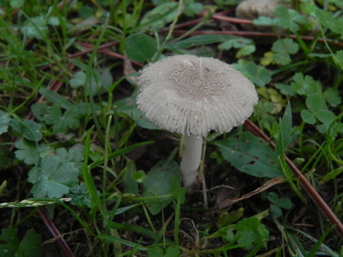 e0352220_11100388.jpg