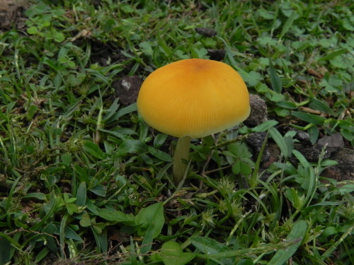 e0352220_11181422.jpg