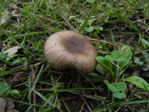 e0352220_11185259.jpg