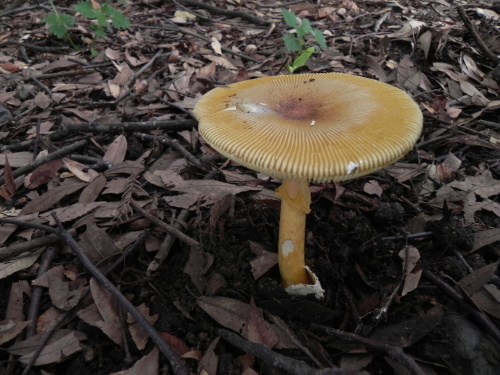 e0352220_11191214.jpg
