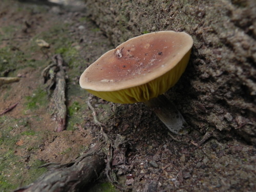 e0352220_11281135.jpg