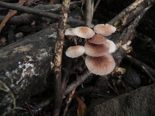 e0352220_12494926.jpg