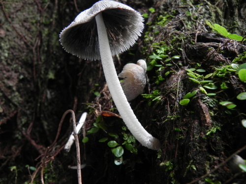 e0352220_12524154.jpg