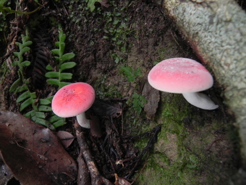 e0352220_12554179.jpg
