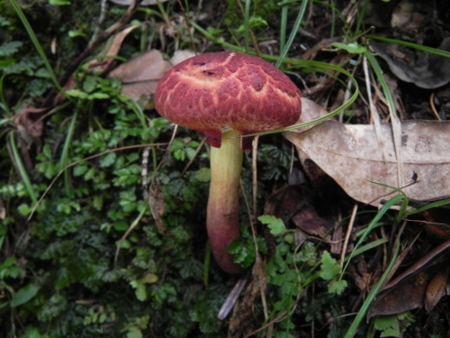 e0352220_12555602.jpg