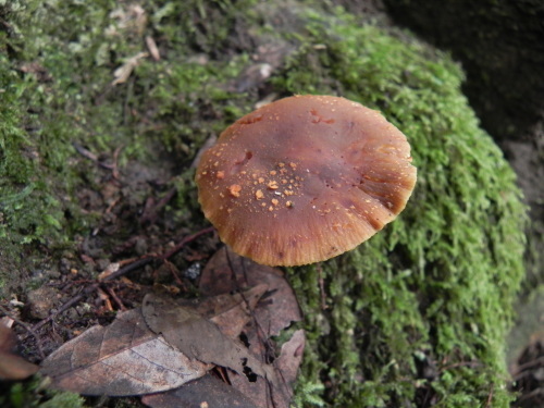 e0352220_12564743.jpg