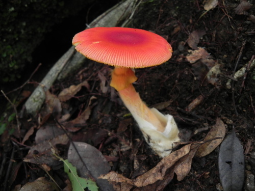 e0352220_12575667.jpg