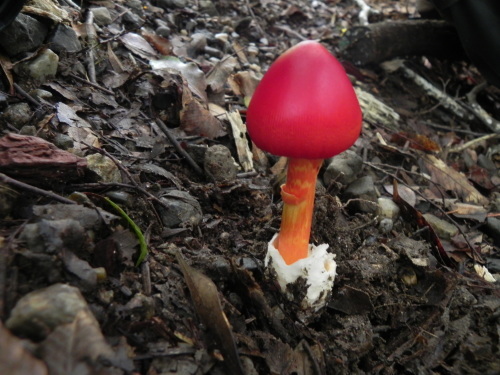 e0352220_13052165.jpg
