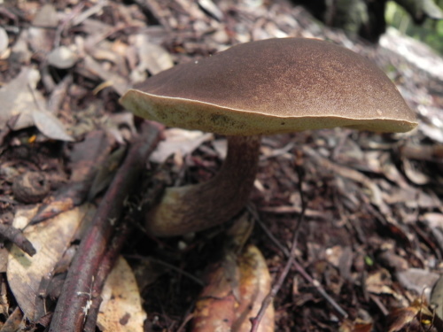 e0352220_13065008.jpg