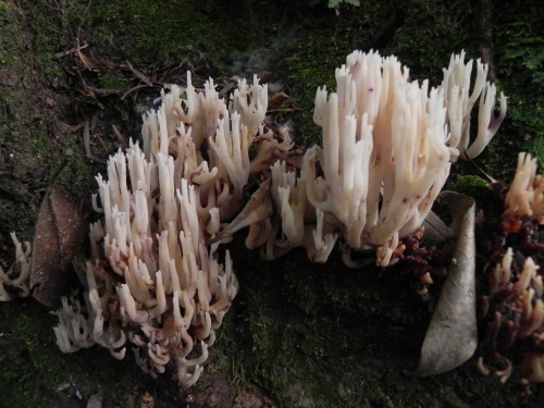 e0352220_13110305.jpg