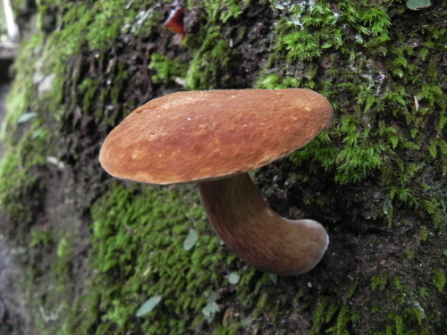 e0352220_13114363.jpg