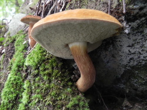 e0352220_13123351.jpg