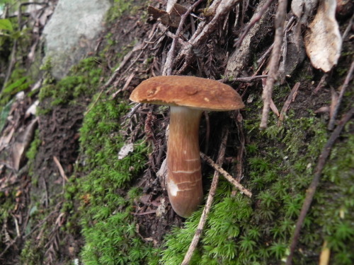 e0352220_13125239.jpg