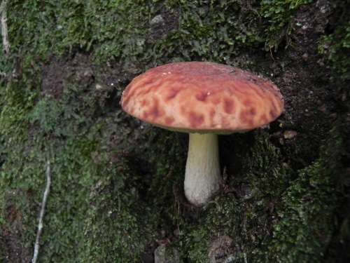 e0352220_13205012.jpg